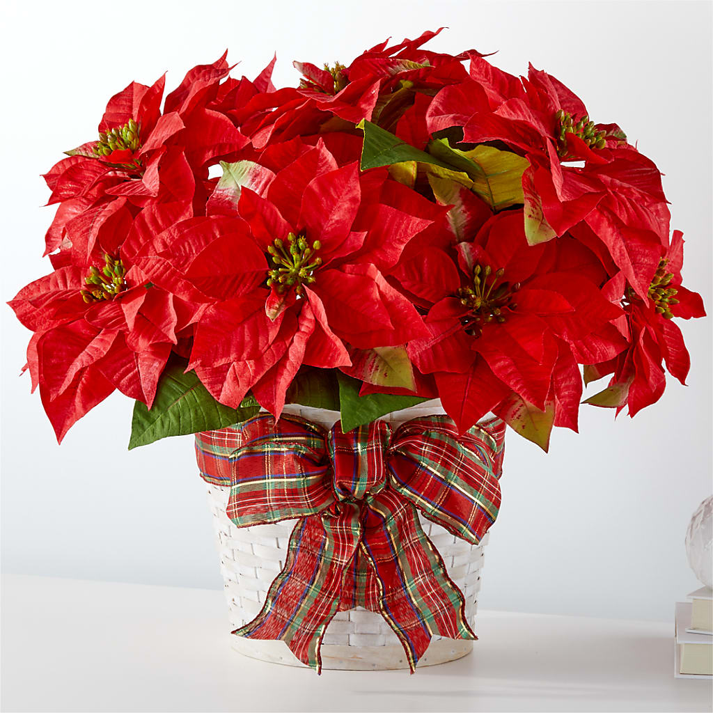 Happiest Holidays Poinsettia – Bloom Boutique Ny, Lake Grove NY