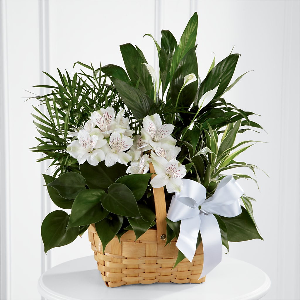 Peace & Serenity Dishgarden – Bloom Boutique Ny, Lake Grove NY