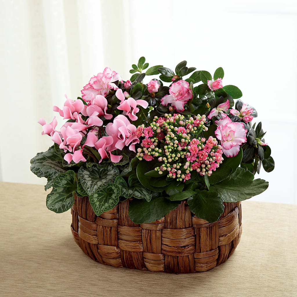 Pink Assortment – Bloom Boutique Ny, Lake Grove NY