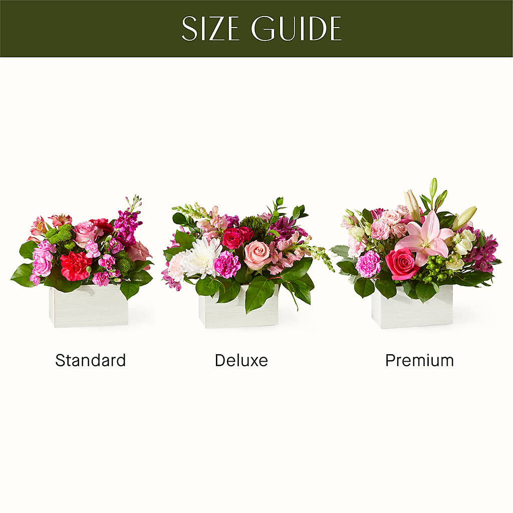 Sweetberry Box – A Florist Original – Bloom Boutique Ny, Lake Grove NY