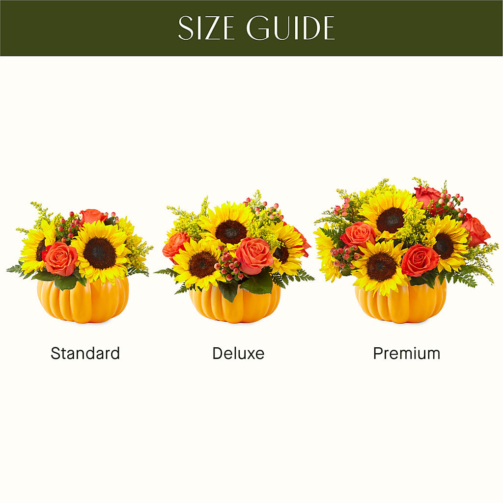 Pick of the Patch Pumpkin Bouquet – Bloom Boutique Ny, Lake Grove NY