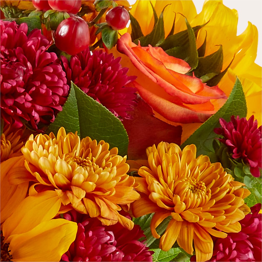 Sweater Season - A Florist Original – Bloom Boutique Ny, Lake Grove NY