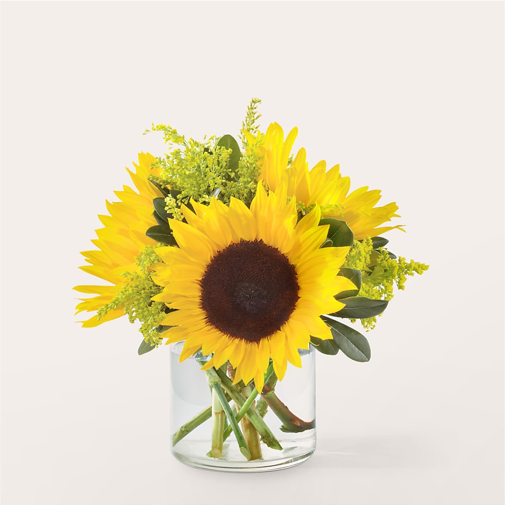 Beaming Sunflower Bouquet – Bloom Boutique Ny, Lake Grove NY