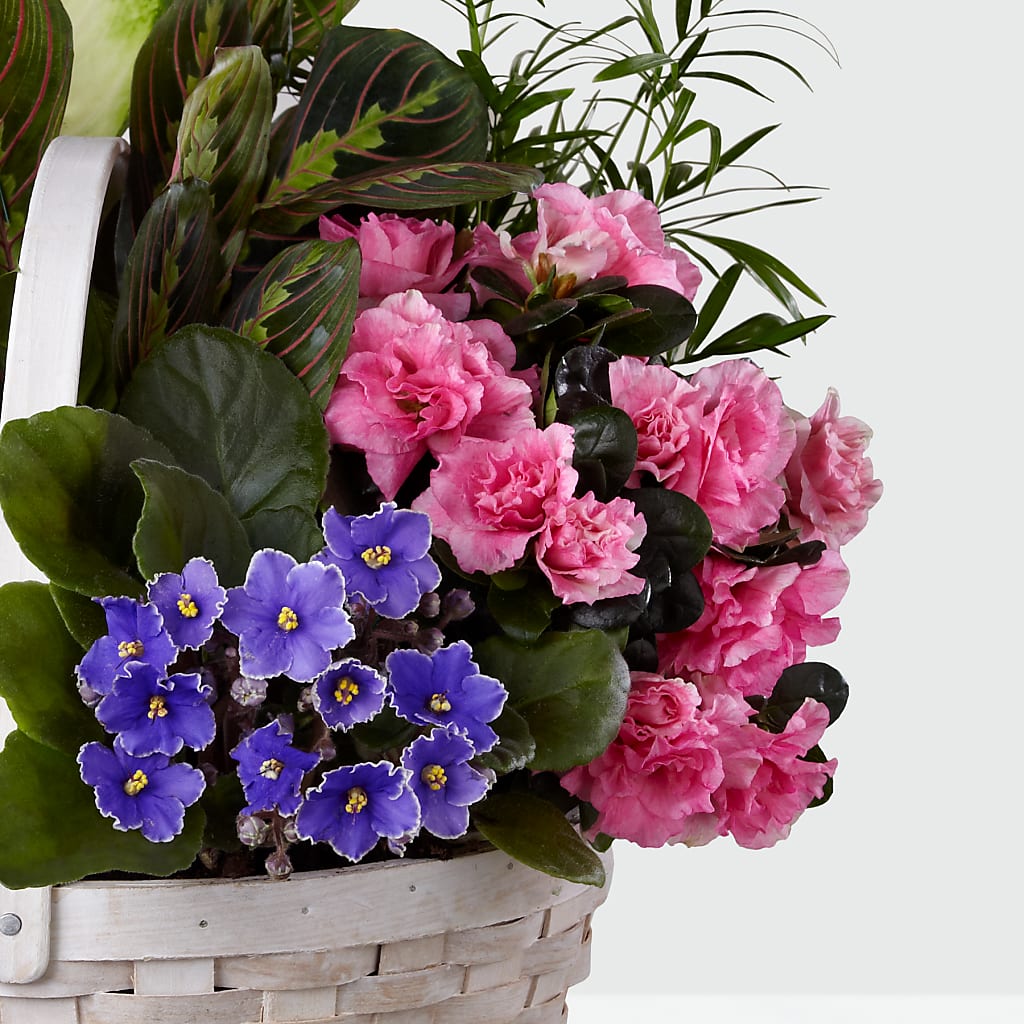 Peaceful Garden Planter – Bloom Boutique Ny, Lake Grove NY