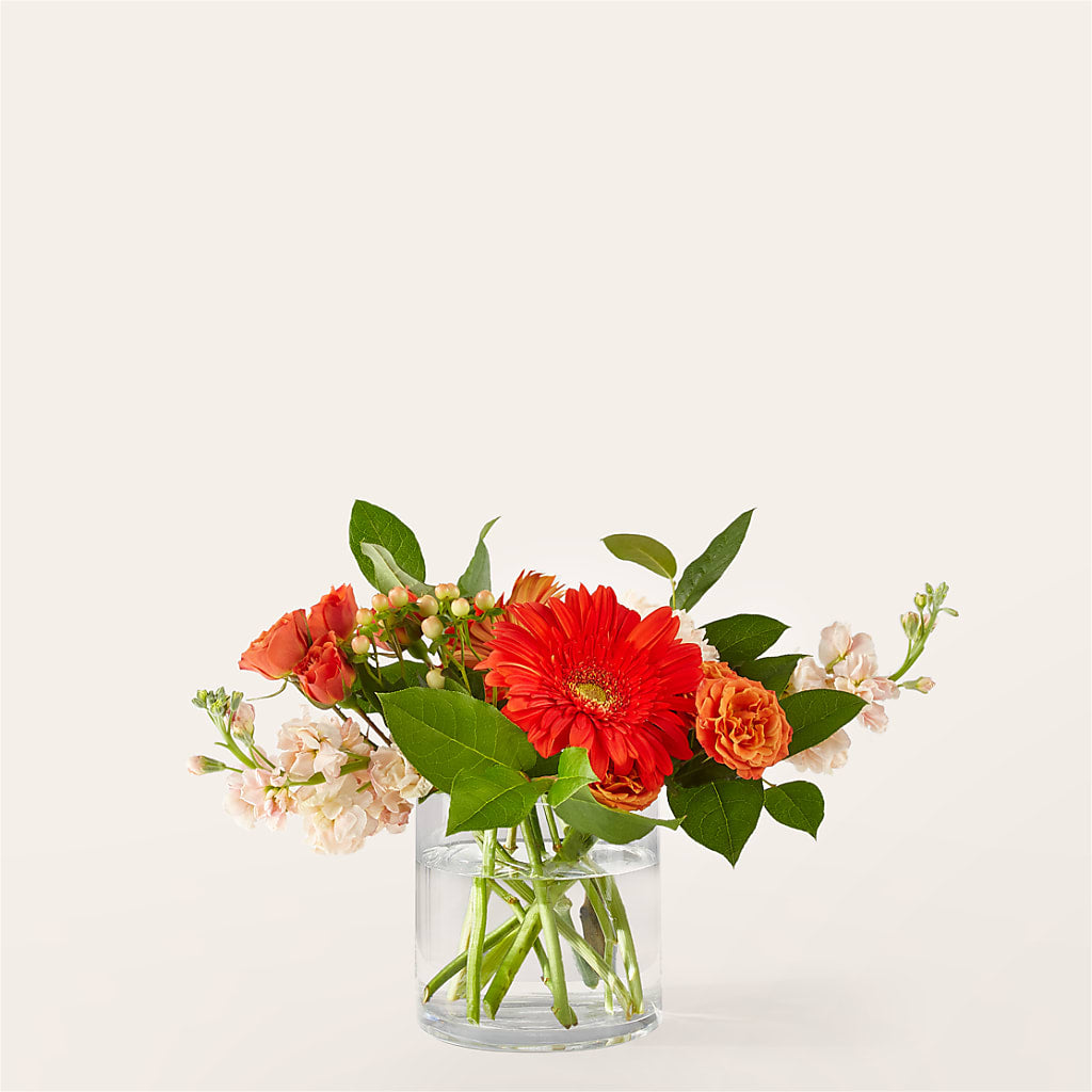 Paloma Please Bouquet – Bloom Boutique Ny, Lake Grove NY