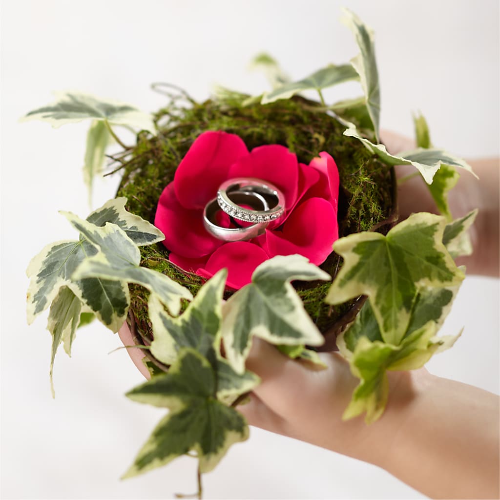 Lila Rose Ring Nest – Bloom Boutique Ny, Lake Grove NY