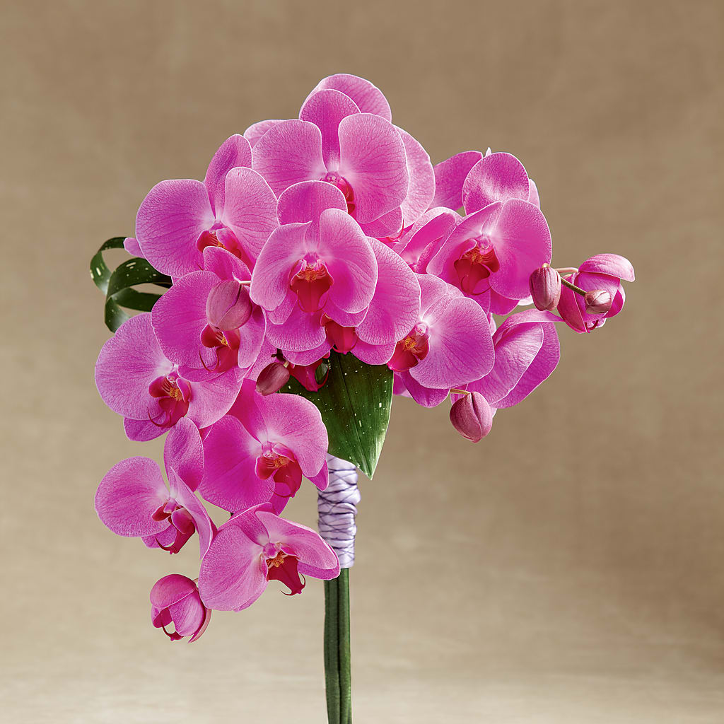 Glorious Bouquet – Bloom Boutique Ny, Lake Grove NY