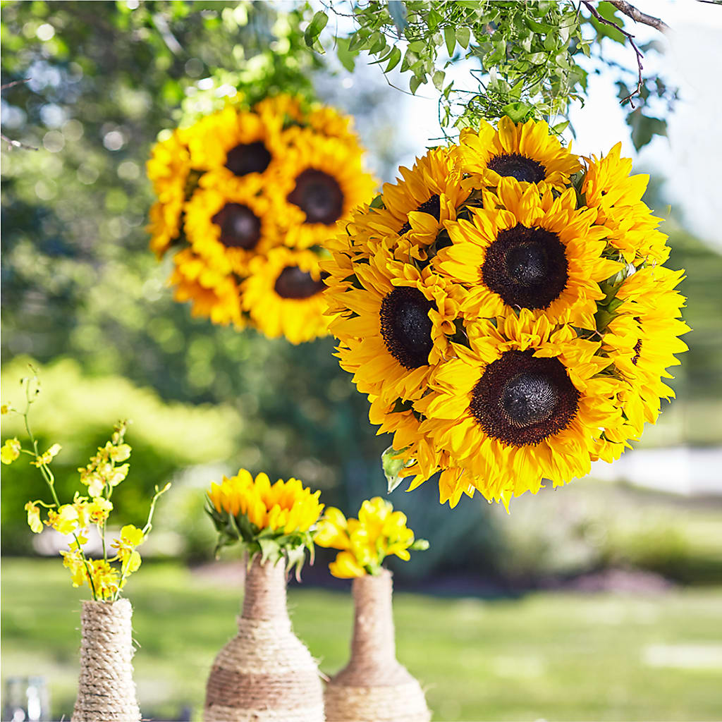 Sublime Garden Hanging Arrangement – Bloom Boutique Ny, Lake Grove NY