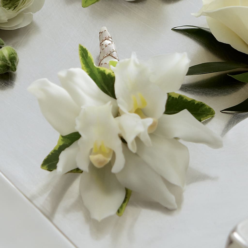 White Mini Cymbidium Boutonniere – Bloom Boutique Ny, Lake Grove NY