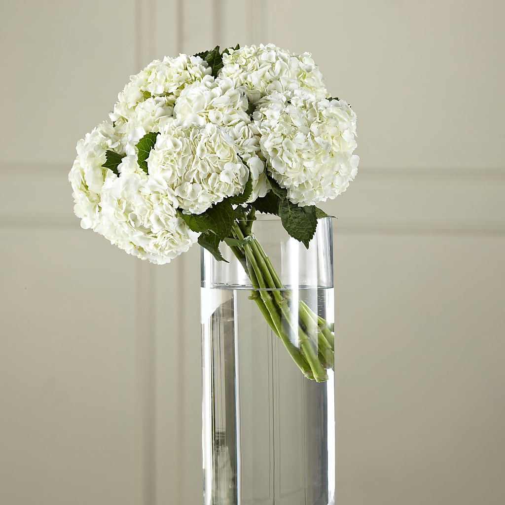 White Hydrangea Hand-Tied Bouquet – Bloom Boutique Ny, Lake Grove NY