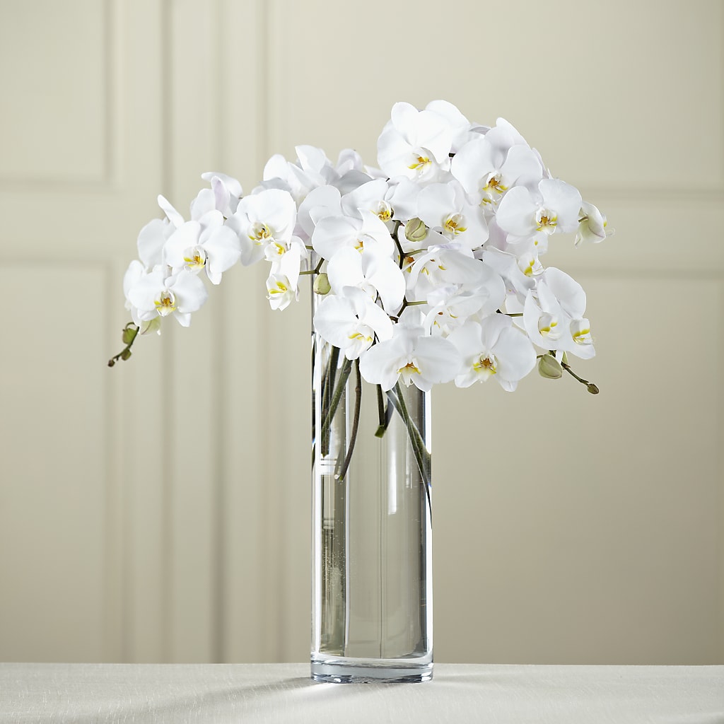 White Phalaenopsis Bouquet – Bloom Boutique Ny, Lake Grove NY
