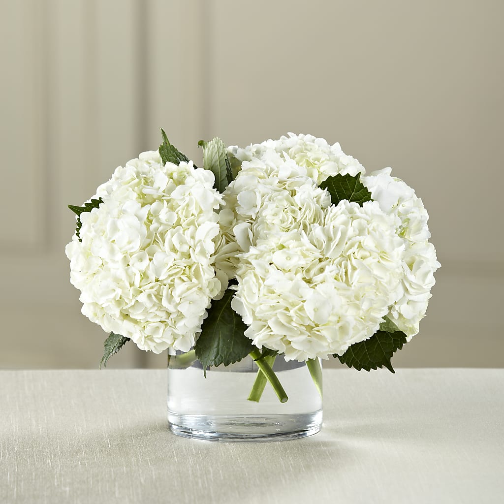 White Hydrangea Bouquet – Bloom Boutique Ny, Lake Grove NY