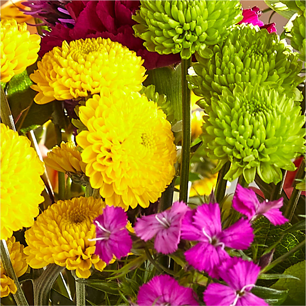 Bold & Bright – A Florist Original –  Bloom Boutique Ny, Lake Grove NY