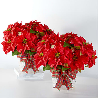 Happiest Holidays Poinsettia Bundle –  Bloom Boutique Ny, Lake Grove NY