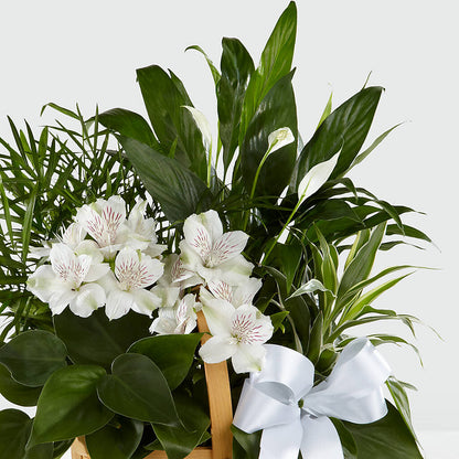 Peace & Serenity Dishgarden –  Bloom Boutique Ny, Lake Grove NY