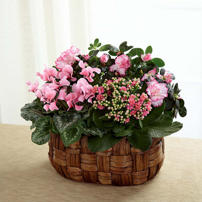 Pink Assortment –  Bloom Boutique Ny, Lake Grove NY