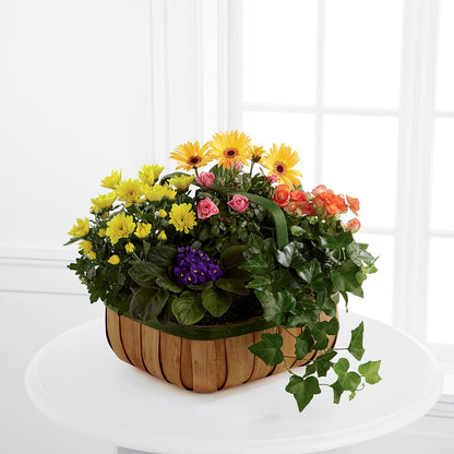 Gentle Blossoms Basket –  Bloom Boutique Ny, Lake Grove NY