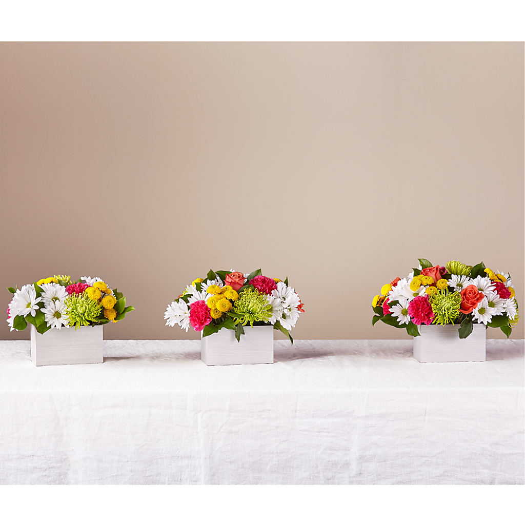 Sorbet Bouquet –  Bloom Boutique Ny, Lake Grove NY