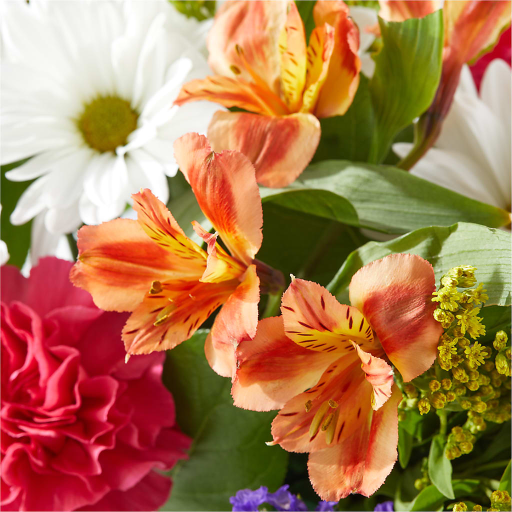 Oopsie Daisy Box Bouquet –  Bloom Boutique Ny, Lake Grove NY
