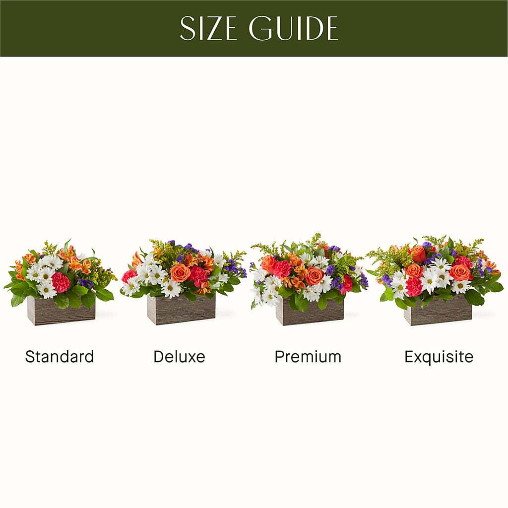 Oopsie Daisy Box Bouquet –  Bloom Boutique Ny, Lake Grove NY