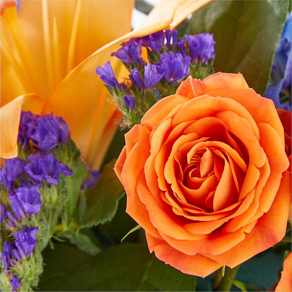 Radiant Citrus Box Bouquet –  Bloom Boutique Ny, Lake Grove NY