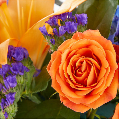 Radiant Citrus Box Bouquet –  Bloom Boutique Ny, Lake Grove NY