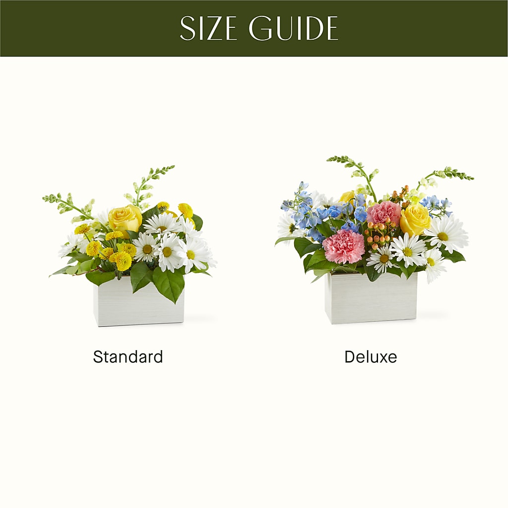 Sun Salutation Box Bouquet –  Bloom Boutique Ny, Lake Grove NY
