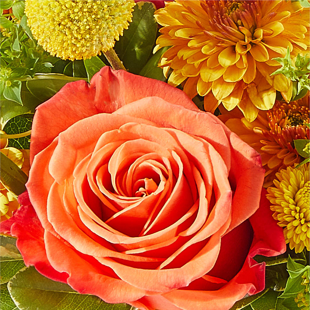 Gourdgeous Pumpkin –  Bloom Boutique Ny, Lake Grove NY