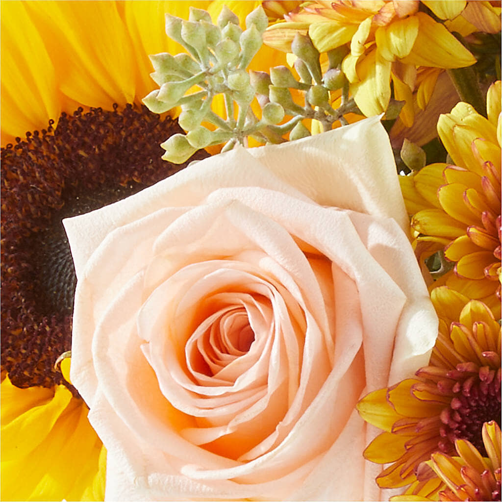 Pumpkin to Talk About Bouquet –  Bloom Boutique Ny, Lake Grove NY