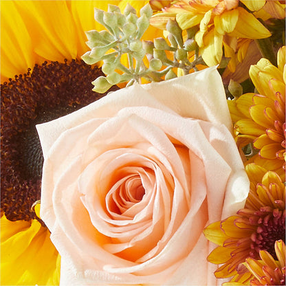 Pumpkin to Talk About Bouquet –  Bloom Boutique Ny, Lake Grove NY