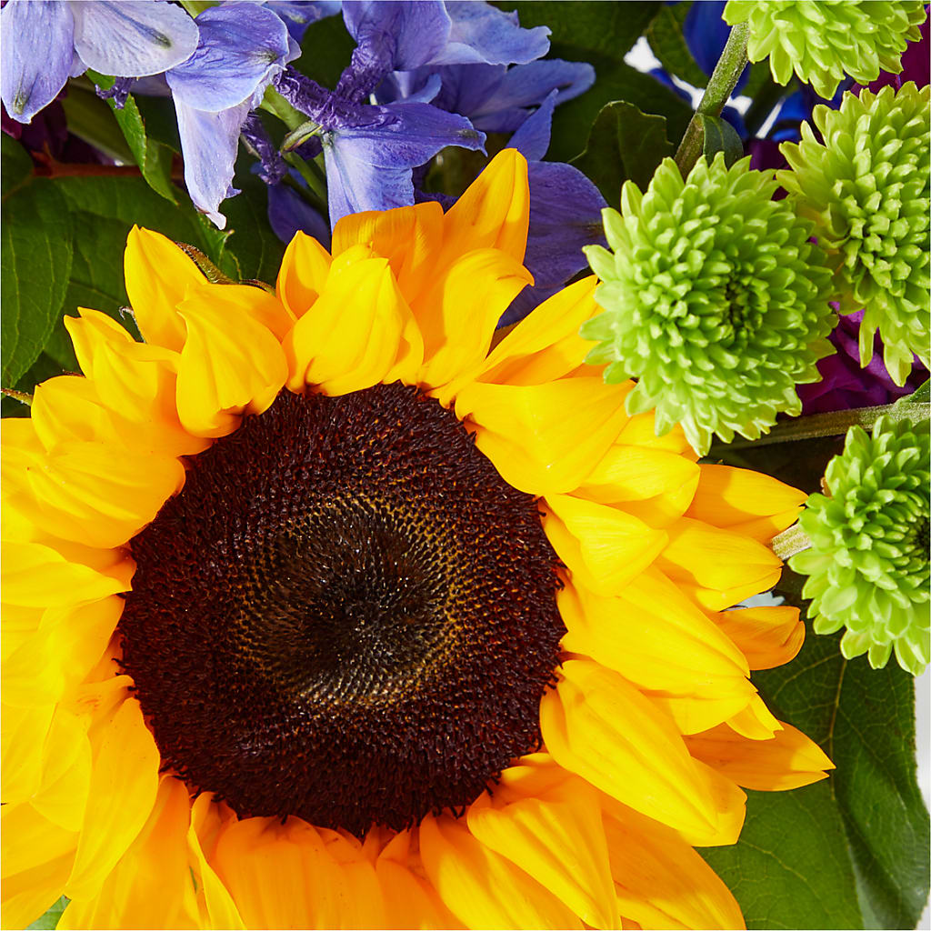 Catching Rays Bouquet –  Bloom Boutique Ny, Lake Grove NY