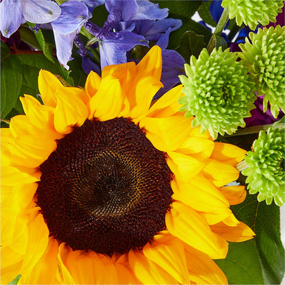 Catching Rays Bouquet –  Bloom Boutique Ny, Lake Grove NY