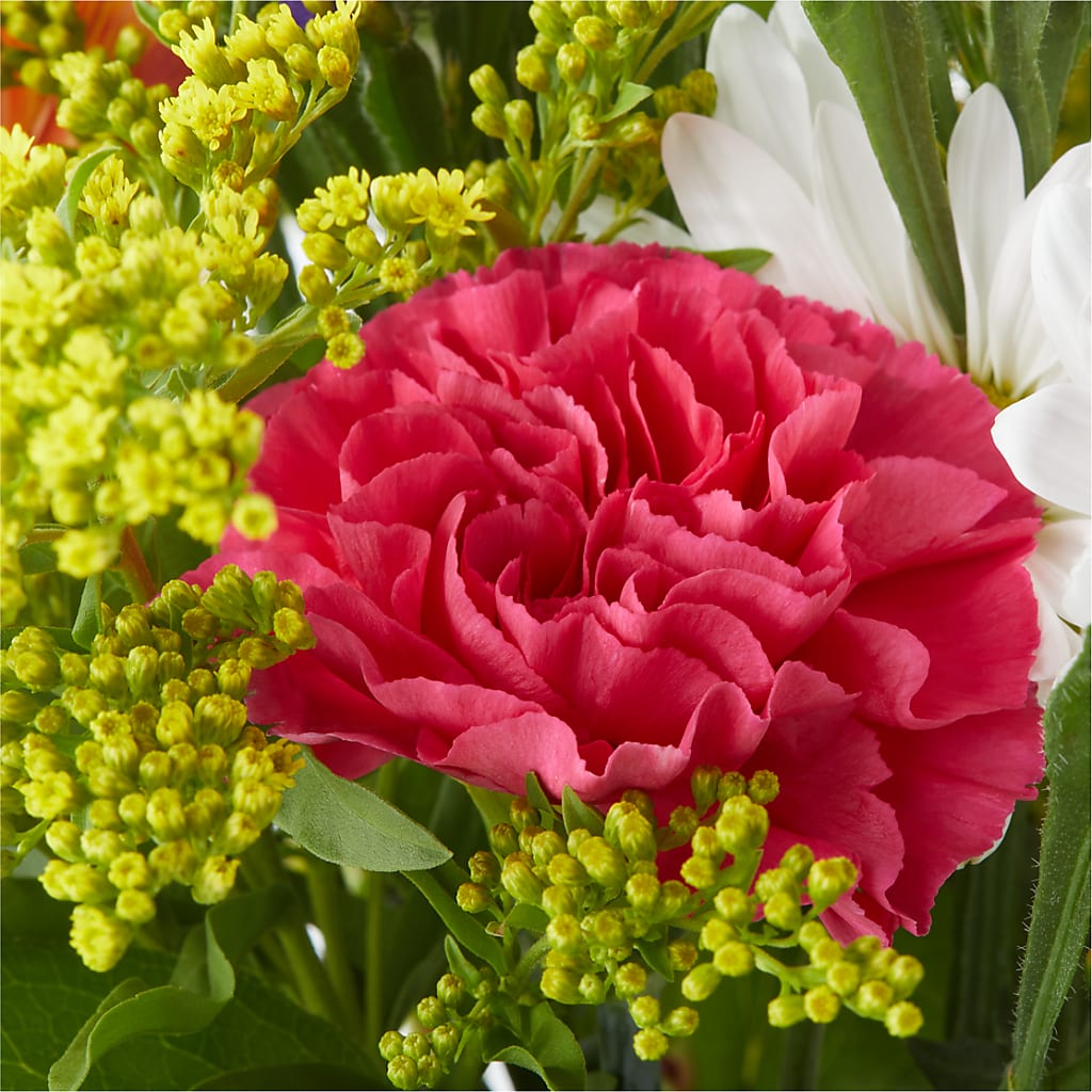Oopsie Daisy Bouquet –  Bloom Boutique Ny, Lake Grove NY