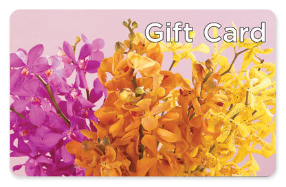Gift Card –  Bloom Boutique Ny, Lake Grove NY