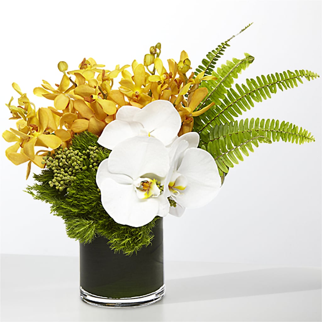 The Tropics –  Bloom Boutique Ny, Lake Grove NY