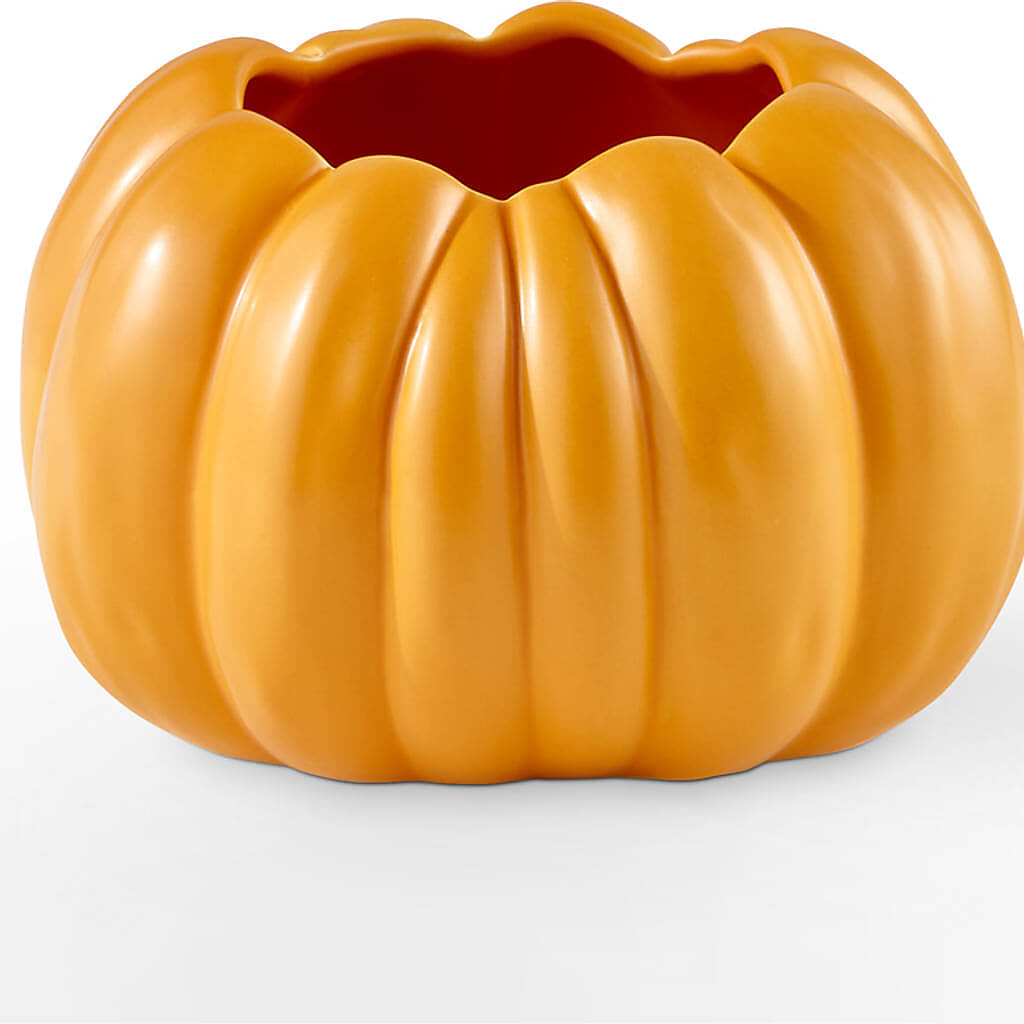 Golden Gourd Pumpkin Bouquet –  Bloom Boutique Ny, Lake Grove NY