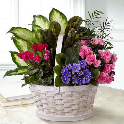 Peaceful Garden Planter –  Bloom Boutique Ny, Lake Grove NY