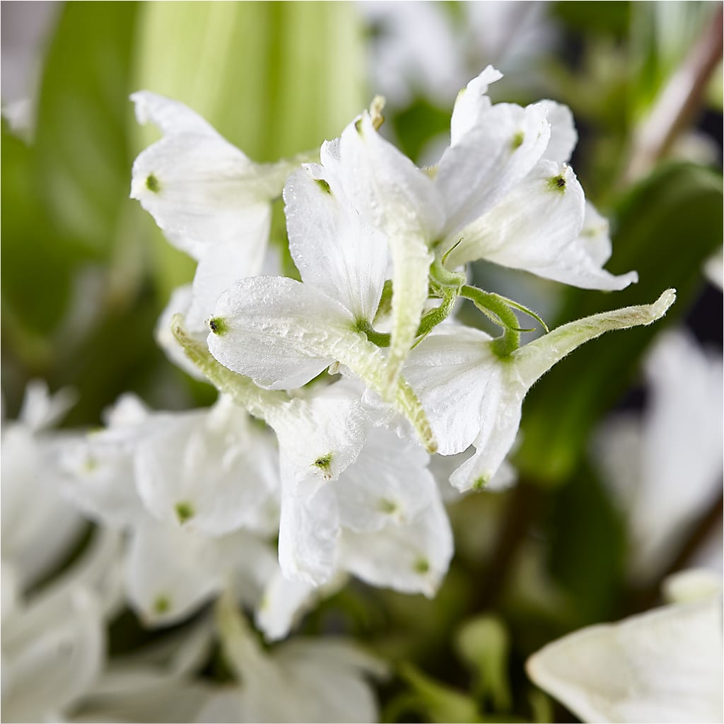 Classic Ivory – A Florist Original –  Bloom Boutique Ny, Lake Grove NY