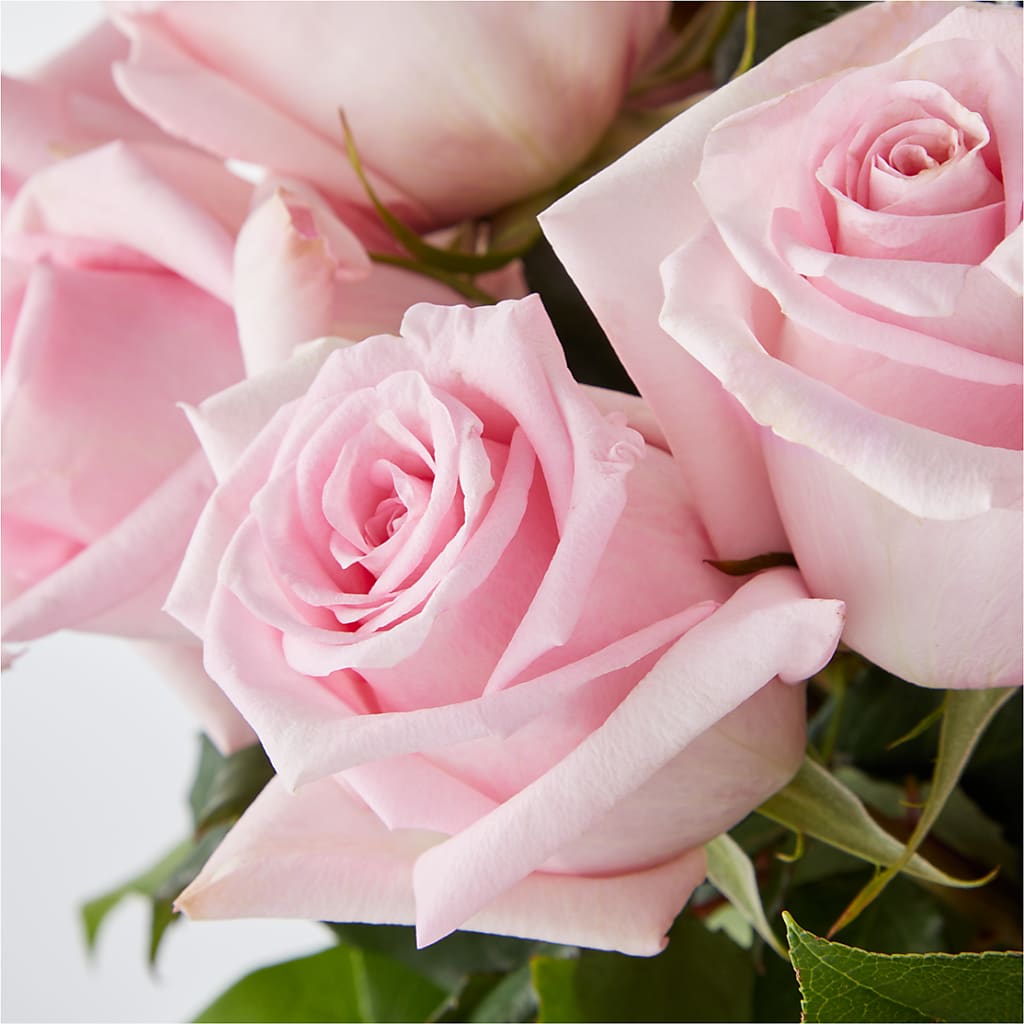 Picture Perfect Pink Rose Bouquet –  Bloom Boutique Ny, Lake Grove NY