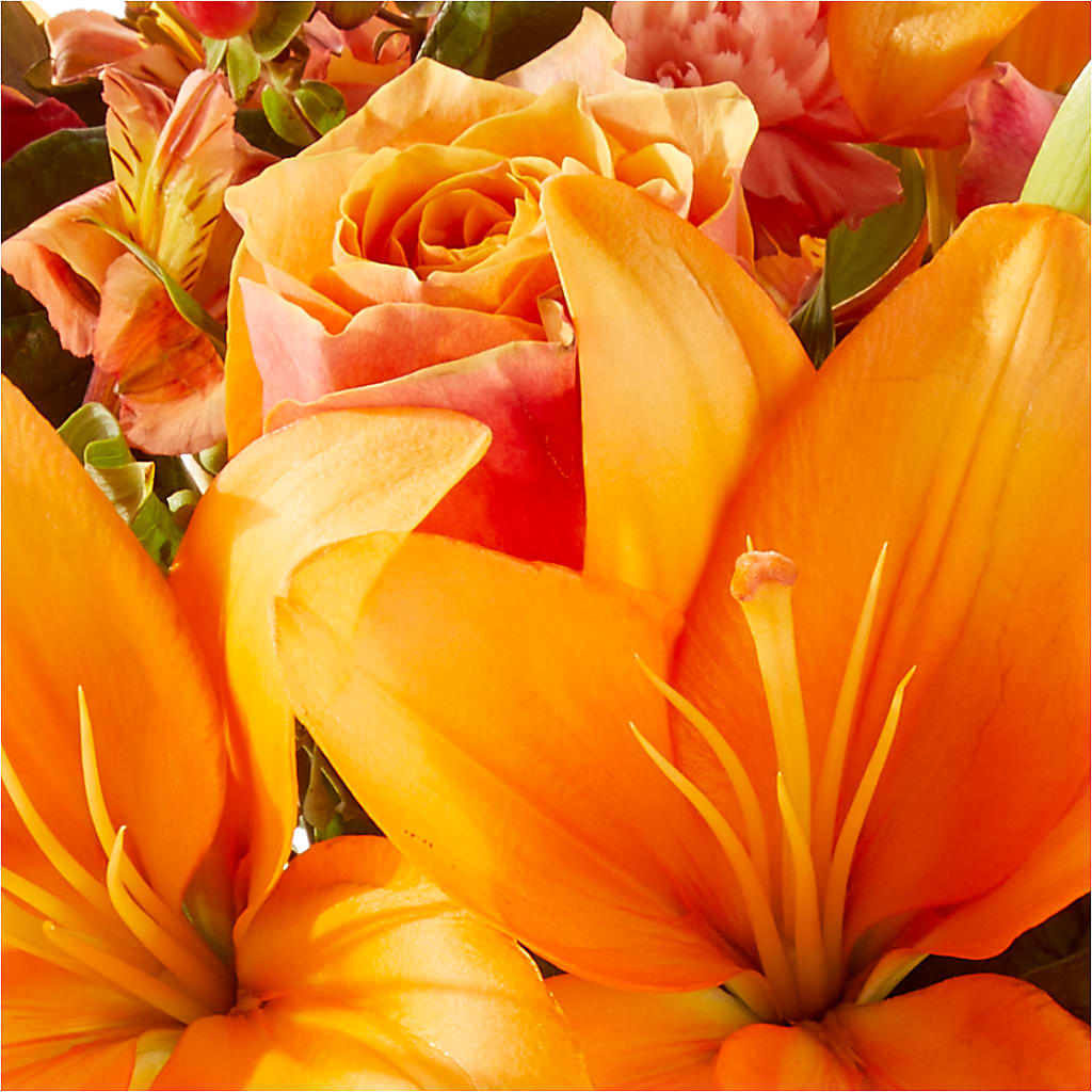 Afternoon Light Bouquet –  Bloom Boutique Ny, Lake Grove NY
