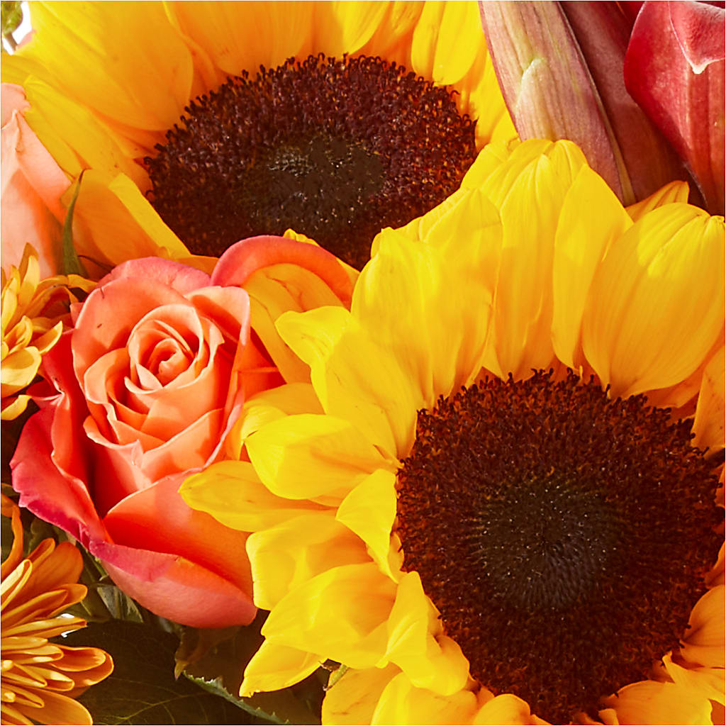 Acorn Lane Bouquet –  Bloom Boutique Ny, Lake Grove NY