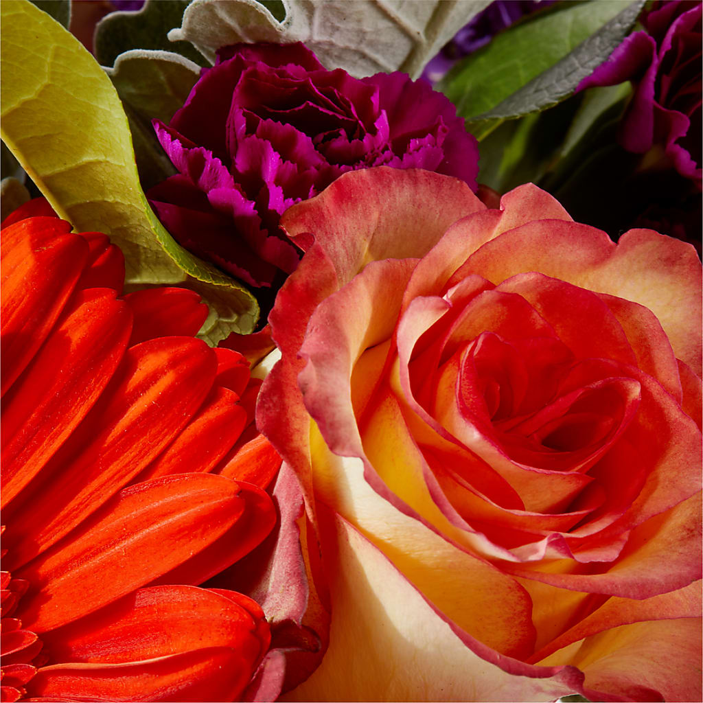 Sangria Bouquet –  Bloom Boutique Ny, Lake Grove NY