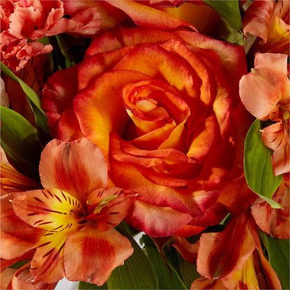 Apricot Glow Bouquet –  Bloom Boutique Ny, Lake Grove NY