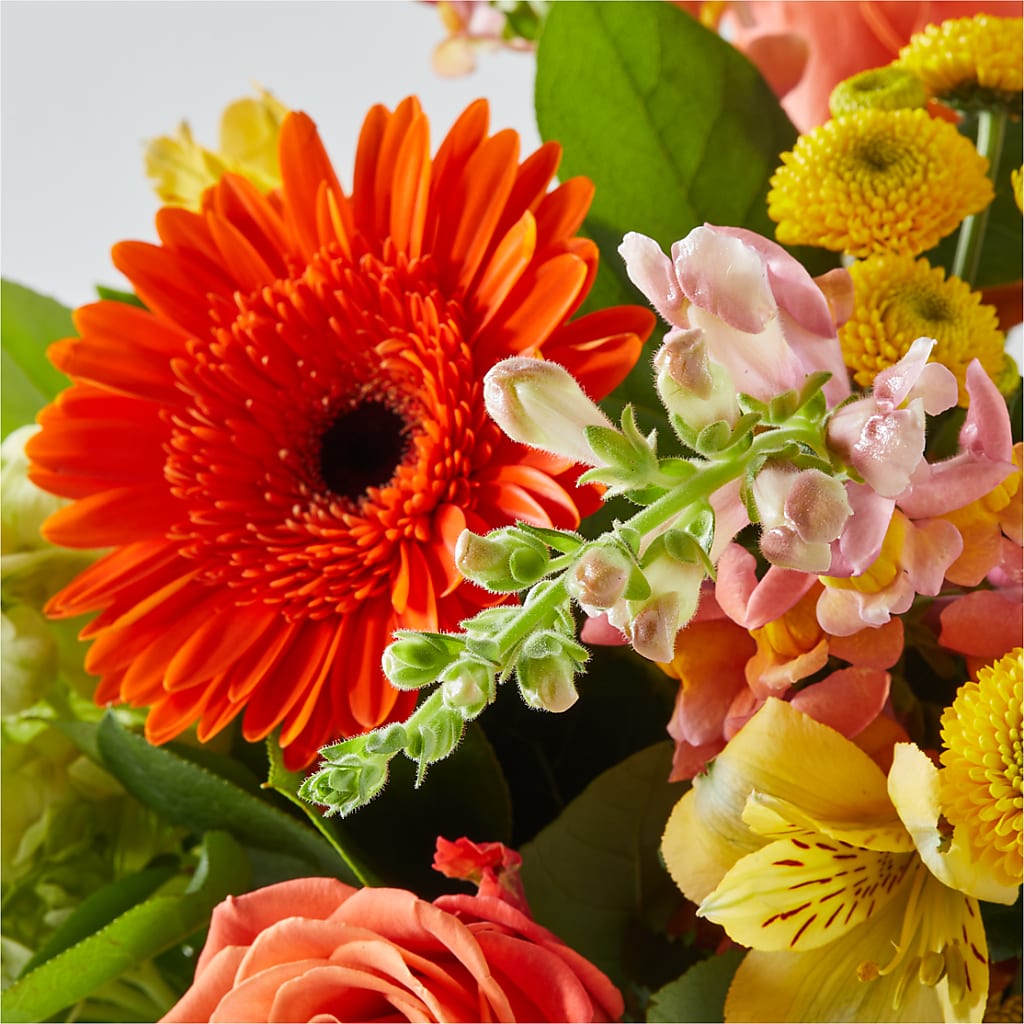 Autumn Sunshine Bouquet –  Bloom Boutique Ny, Lake Grove NY