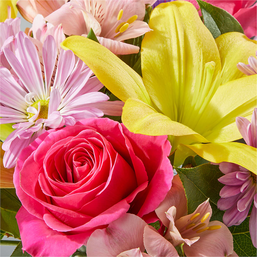 Sprinkles Bouquet –  Bloom Boutique Ny, Lake Grove NY