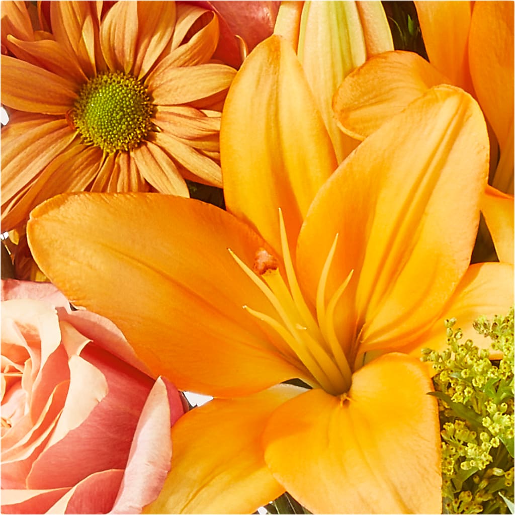 Harvest Hayride Bouquet –  Bloom Boutique Ny, Lake Grove NY