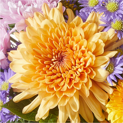 Countryside Bouquet –  Bloom Boutique Ny, Lake Grove NY