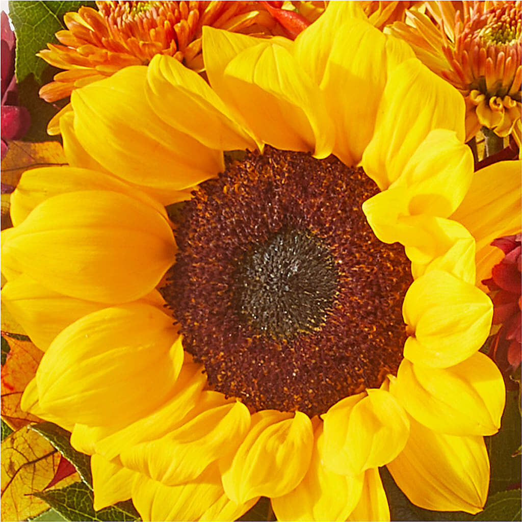 Sunny Side Bouquet –  Bloom Boutique Ny, Lake Grove NY