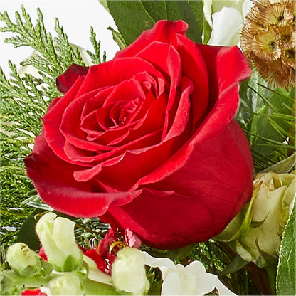 Deck the Halls Bouquet –  Bloom Boutique Ny, Lake Grove NY