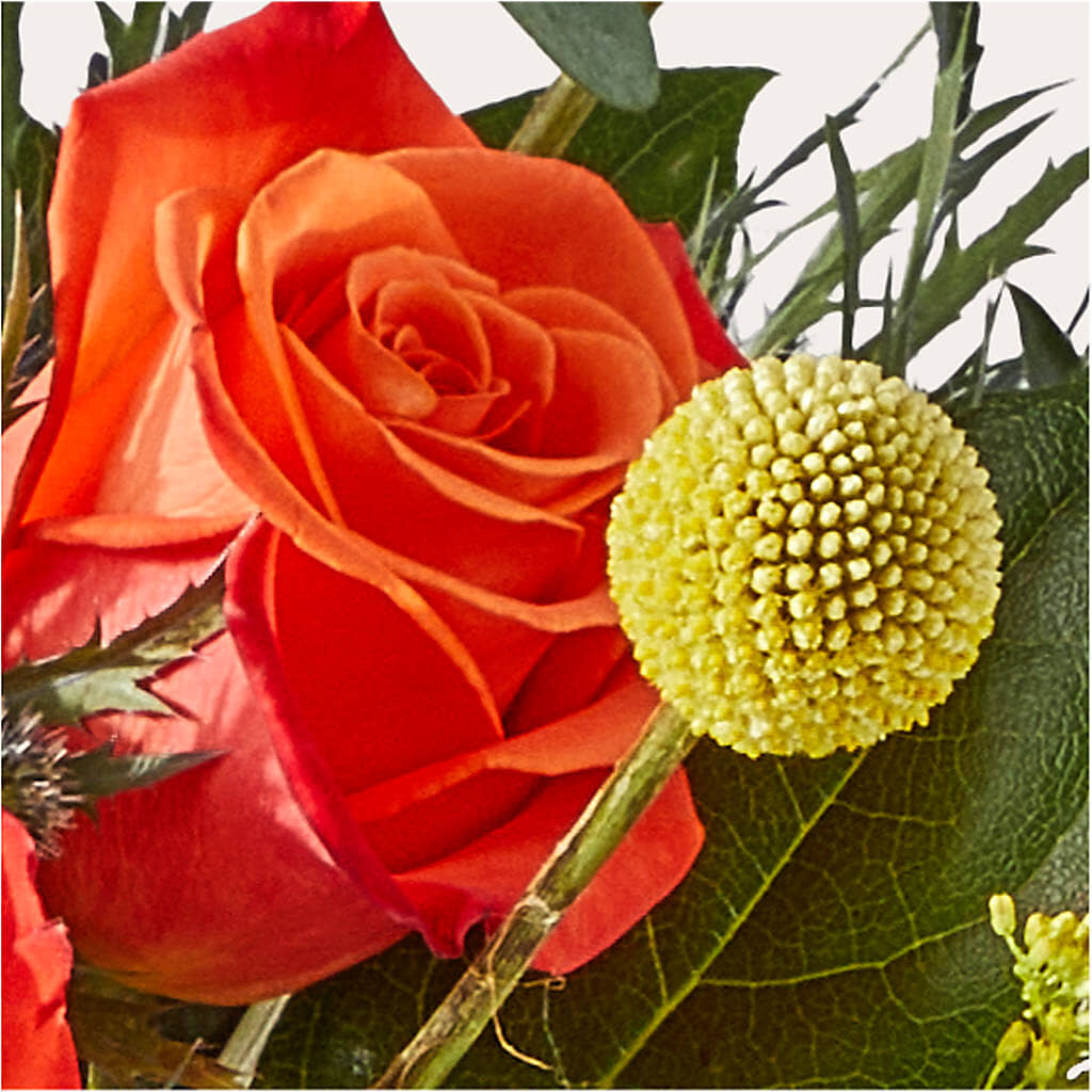 Disco Bouquet –  Bloom Boutique Ny, Lake Grove NY